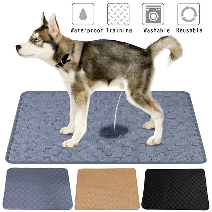 Pet Parents Pads Washable Dog Pee Pads Of Premium Pee Pads For Dogs Waterproof Training Pads For Dogs Reusable Dog Pee Pads Modern Puppy Pads - A.L.M